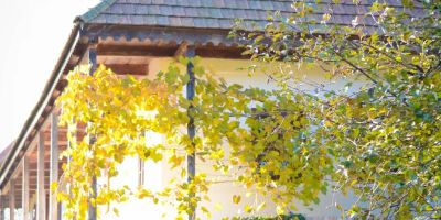 Fay-inn Üdülőház Terény - foto 3