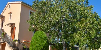 Apartmani Anton D. Malinska - foto 3
