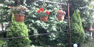 Rezeda Ház Velence - foto 3