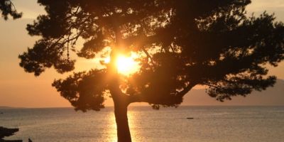 Apartments Miše Makarska - foto 4