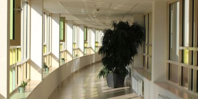 Wellness Apartmanok Velence - foto 5