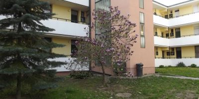 Termál Apartman Zalakaros - foto 3