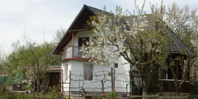 Cabană Cseke Praid - foto 3