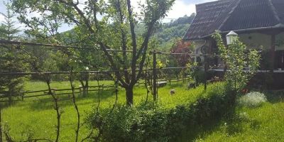 Cabană Cseke Praid - foto 4
