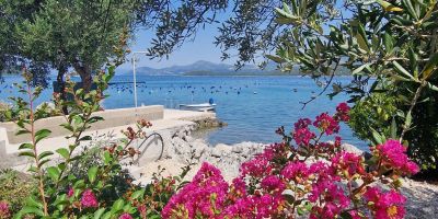 Apartments By The Sea Žuronja, Pelješac - 13202 Žuronja - foto 5
