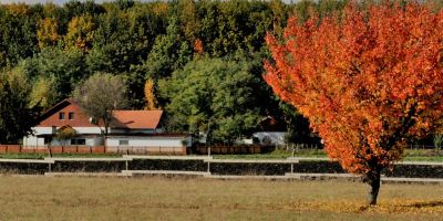 Szőke Rét Vendégház Hajdúbagos - foto 4