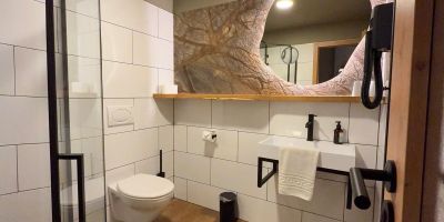 Hotel a Pension SEEBERG Františkovy Lázně - foto 4