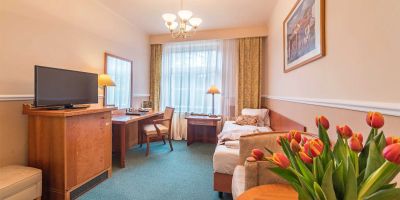 Lázeňský hotel Dr. Adler Spa & Kurhotel Františkovy Lázně - foto 5