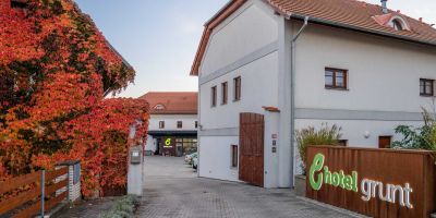 Hotel Grunt Kosmonosy - foto 4