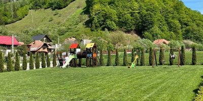 Pensiunea Flori de Măr Poiana Mărului - foto 3