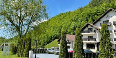 Pensiunea Flori de Măr Poiana Mărului - foto 5