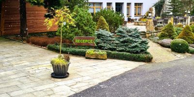 Resort Lesní Lázně Zvánovice - foto 4