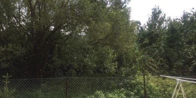 Tariska Vendégház Parádóhuta - foto 2