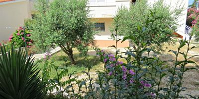 Apartman pro 4 os. se 2 ložnicemi - Apartments EDO Novalja, foto 1