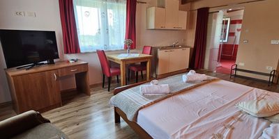Studio Apartman s manželskou postelí s 1 ložnicí na poschodí - Apartments And Room Agroturist Rovinj, foto 1