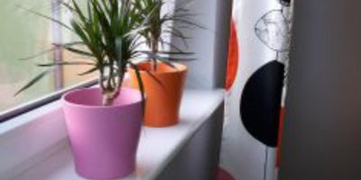 Apartman pro 4 os. s 1 ložnicí - Apartamenty Sedinum - Brama Portowa, foto 1
