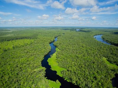 Lubelskie lasy pod większą ochroną. Utworzono trzy nowe rezerwaty