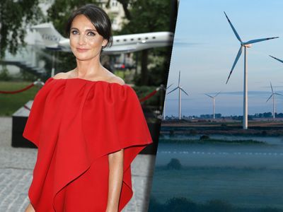 Miliarderka rusza z gigaprojektem na morzu. Powstanie wielka elektrownia