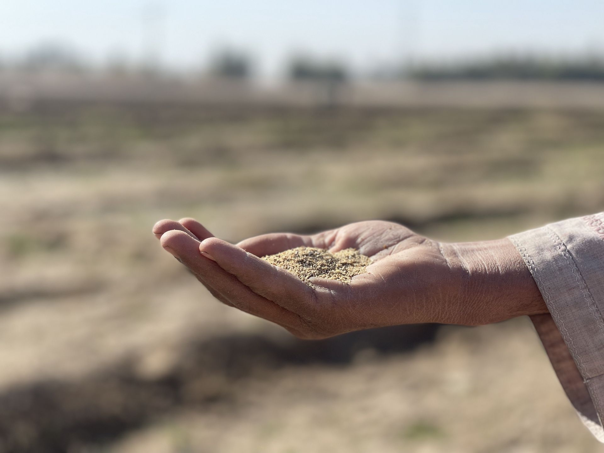 The hidden gem white poppy seeds. Beneficial for sleep and digestion