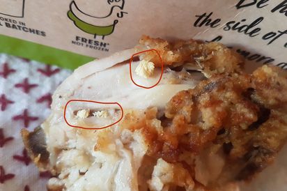 Robaki W Daniu Z Kfc Wywołały Burzę W Australii O2 Serce Internetu