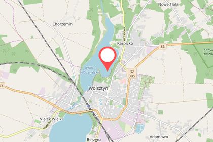 Jezioro Wolsztyńskie