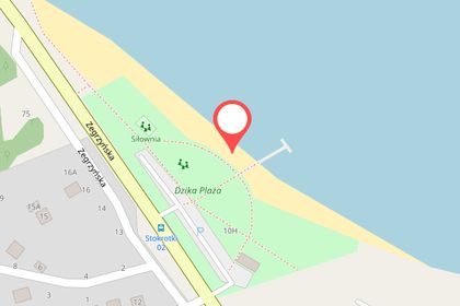 Dzika plaża w Nieporęcie