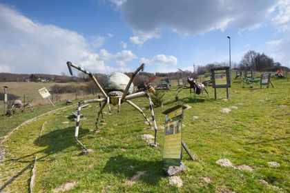 Park Owadów i Pajęczaków