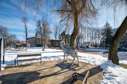 Pomnik Jelenia w Mielnie