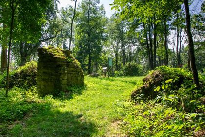 Monasterz - ruiny klasztoru bazylianów na Roztoczu 