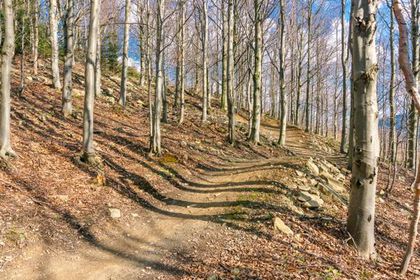 Babia Góra Trails