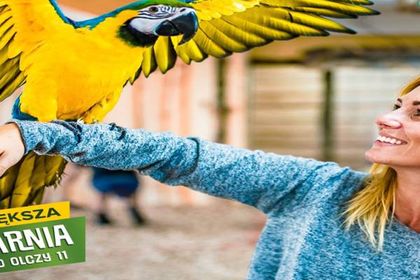 Papugarnia Egzotyczne Zakopane 
