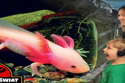 Podwodny Świat Zakopane 