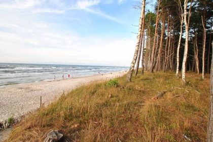 Plaża w Lubiatowie