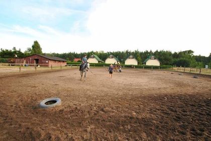 Stadnina koni w Lubiatowie