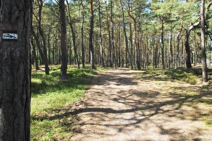 Ścieżka Nordic Walking - trasa nr 3