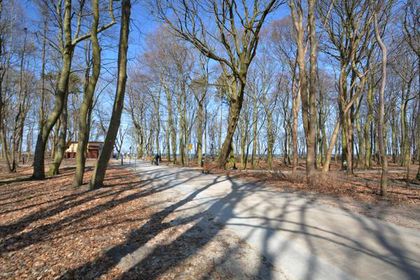 Park im. Stefana Żeromskiego