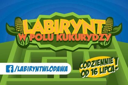 Labirynt w polu kukurydzy we Włodawie