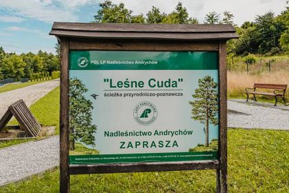 Edukacyjna ścieżka przyrodnicza - Leśne cuda