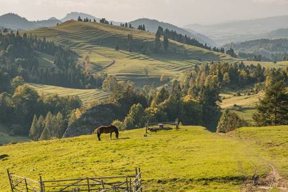 Rezerwat przyrody Biała Woda