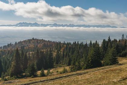 Polana Zielenica w Gorcach 