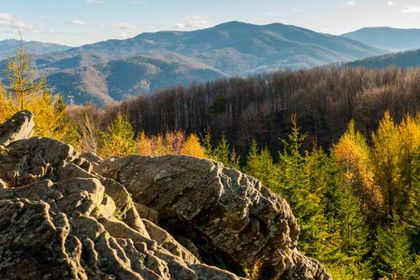 Dwernik Kamień - Bieszczady