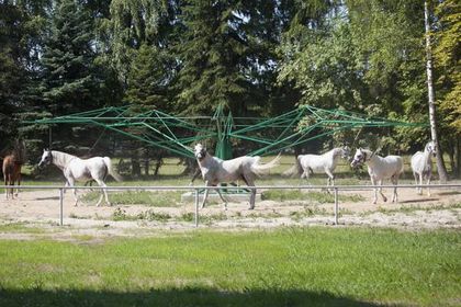 Stadnina Koni w Janowie Podlaskim