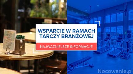 Wsparcie w ramach Tarczy Branżowej. Najważniejsze informacje