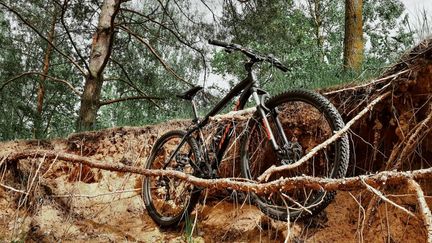 Rowerowy wypoczynek w Polsce - gdzie na rower MTB, a gdzie na trekkingowy?