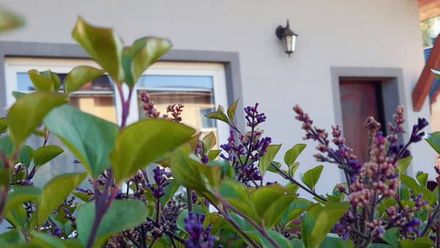 Pokoje Gościnne Mario i Domek Letniskowy (1)