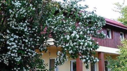 Noclegi Na Górze (1)