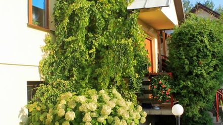 Agroturystyka Nad Bugiem (1)