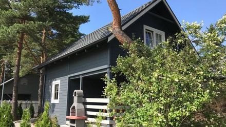 Domki Letniskowe Wiking (1)