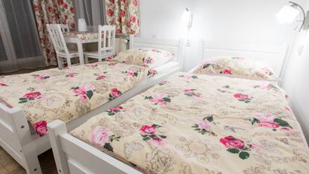 Agroturystyka Willa Parkowa (1)