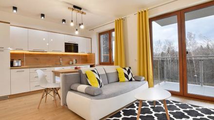 Apartament Górzysty II (1)